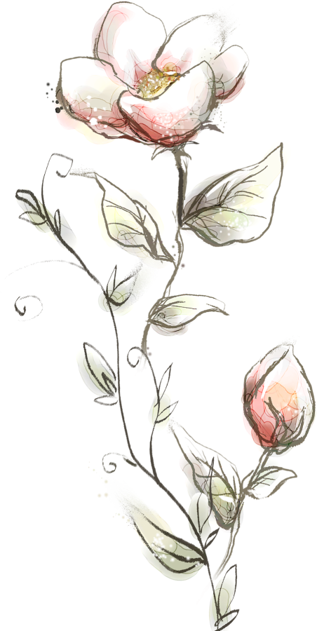 68479dd70504c168d71ae774_pngegg (5)